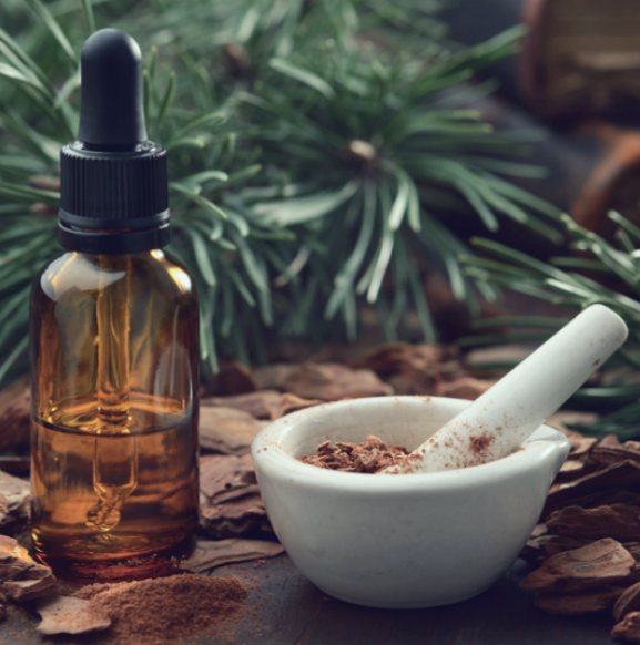 stage spécialisé ipnse huiles essentielles aromatherapie